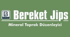 Haşem Web Tasarım